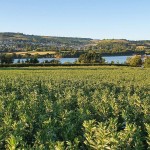 Beans by the River Teign